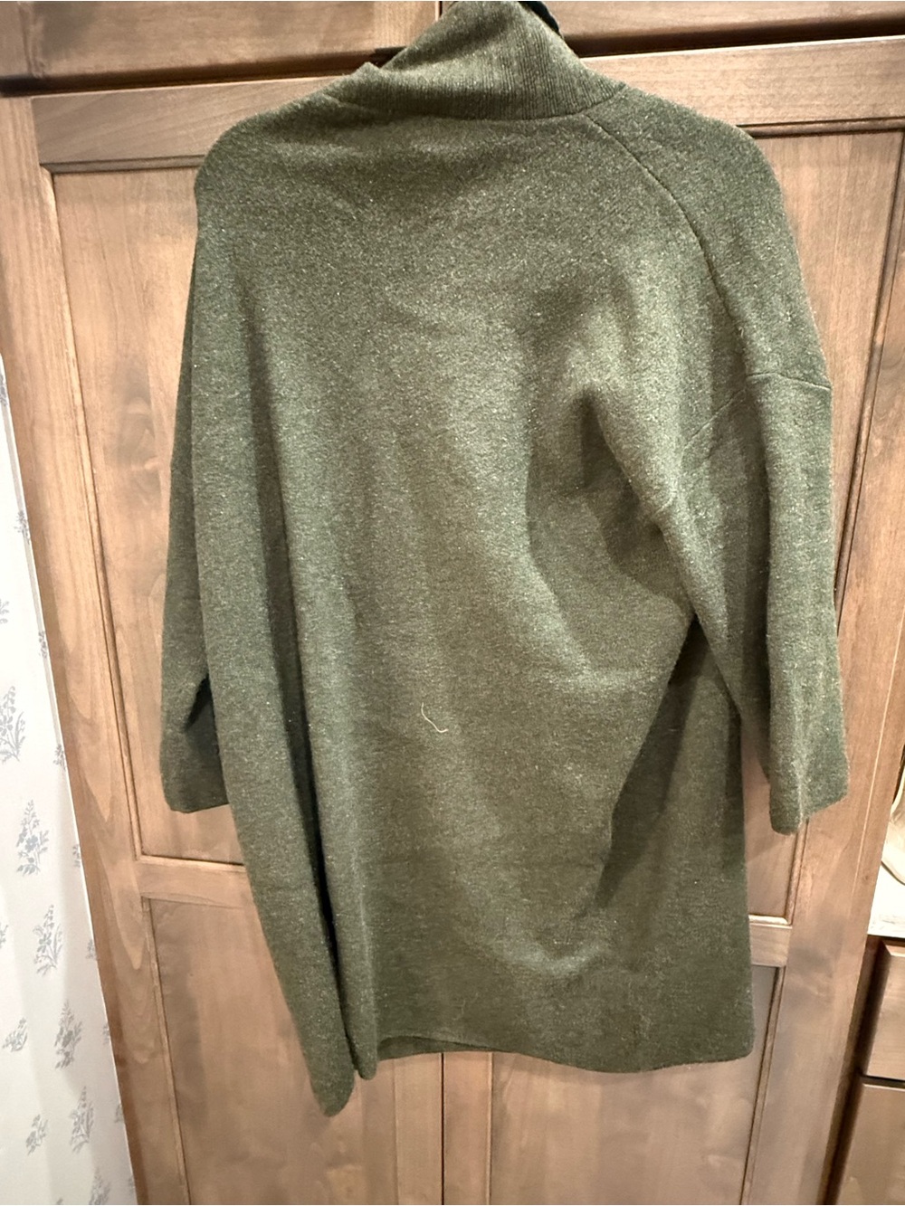 Tuckernuck Olive Green Turtleneck Sweater Dress - Picture 3 of 3